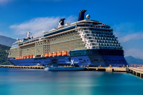 Celebrity Silhouette