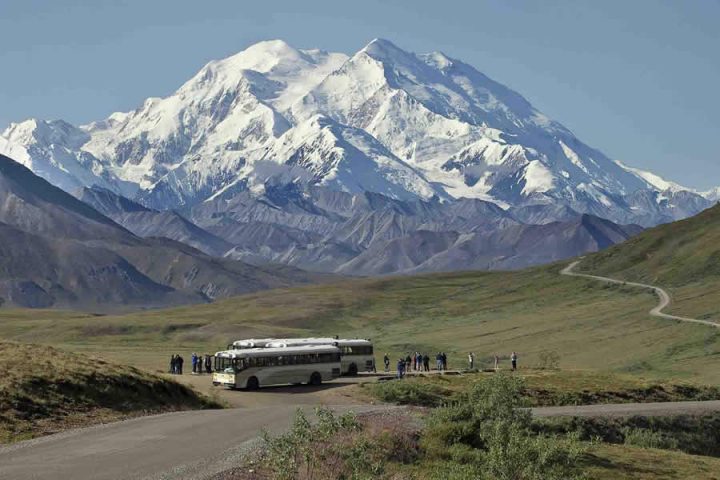 Denali National Park