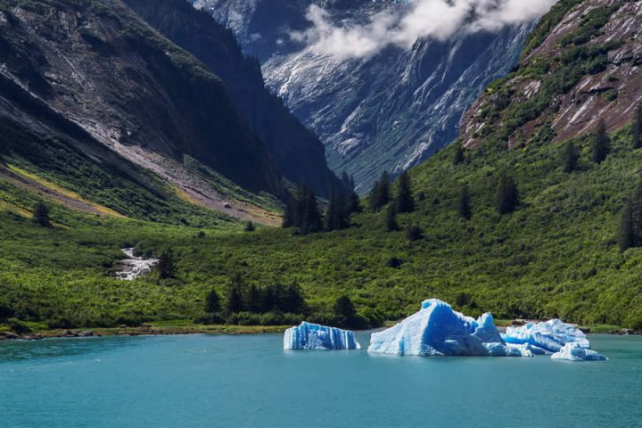 Tracy Arm Fjord - scenary